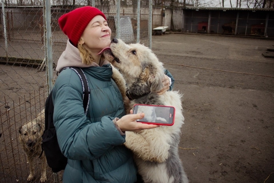 Юлии Пересильд понравилась каша, которой кормят собак в псковском приюте