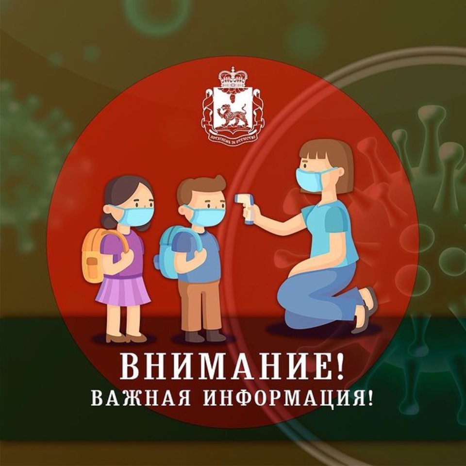 Средние учебные заведения Псковской области перейдут на дистанционное обучение с 14 декабря