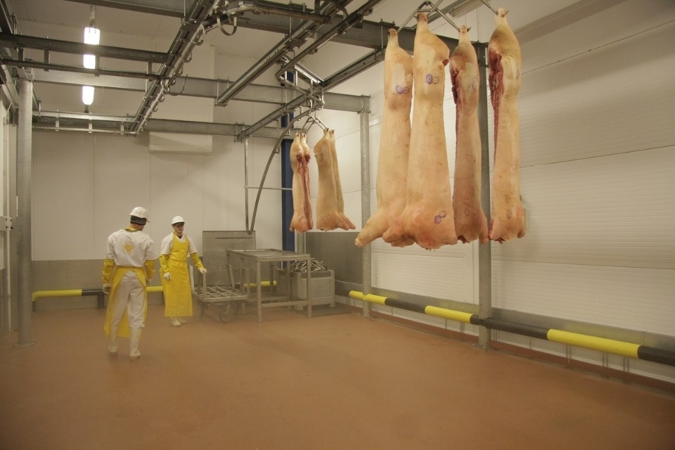 Пять псковских компаний вошли в топ-250 СЗФО