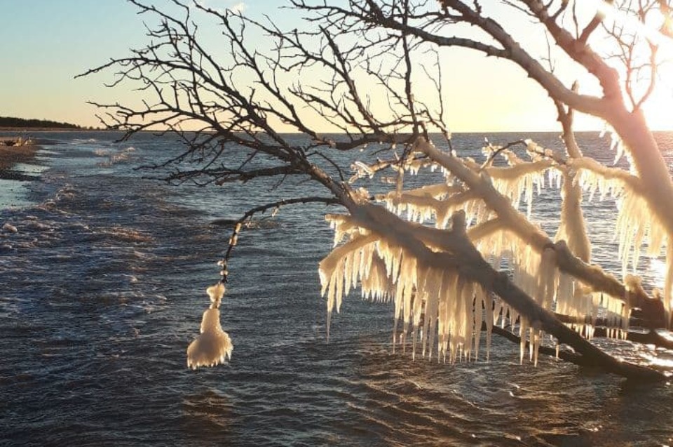 МЧС предупреждает жителей Псковской области о гололеде и ледяном дожде