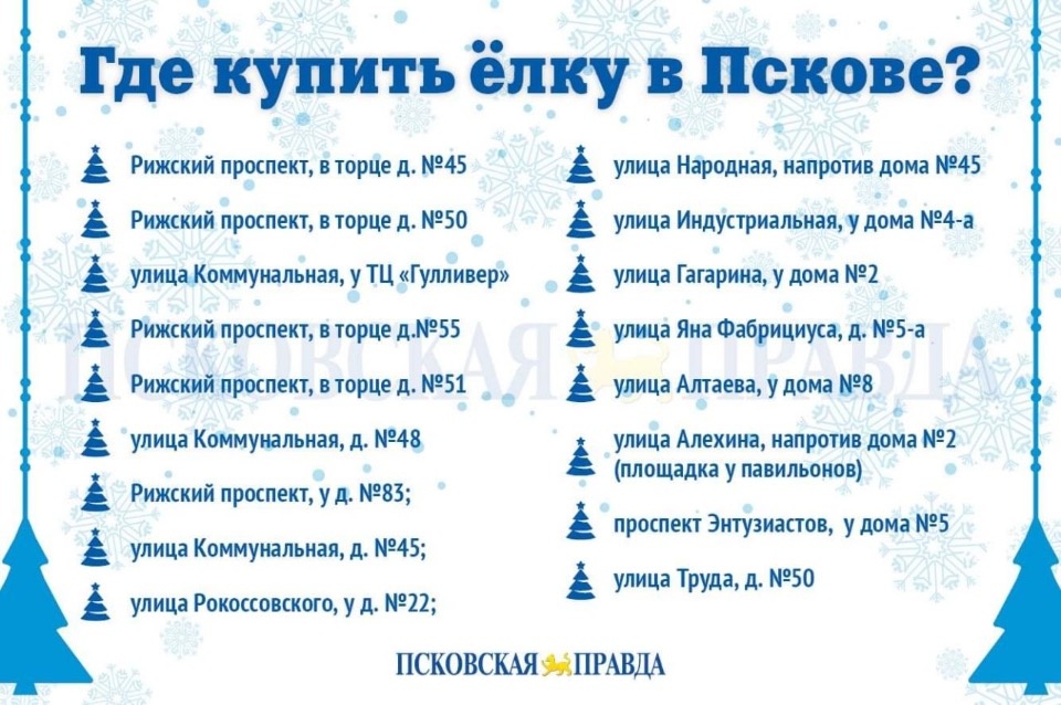 Где в Пскове можно купить новогоднюю ёлку?