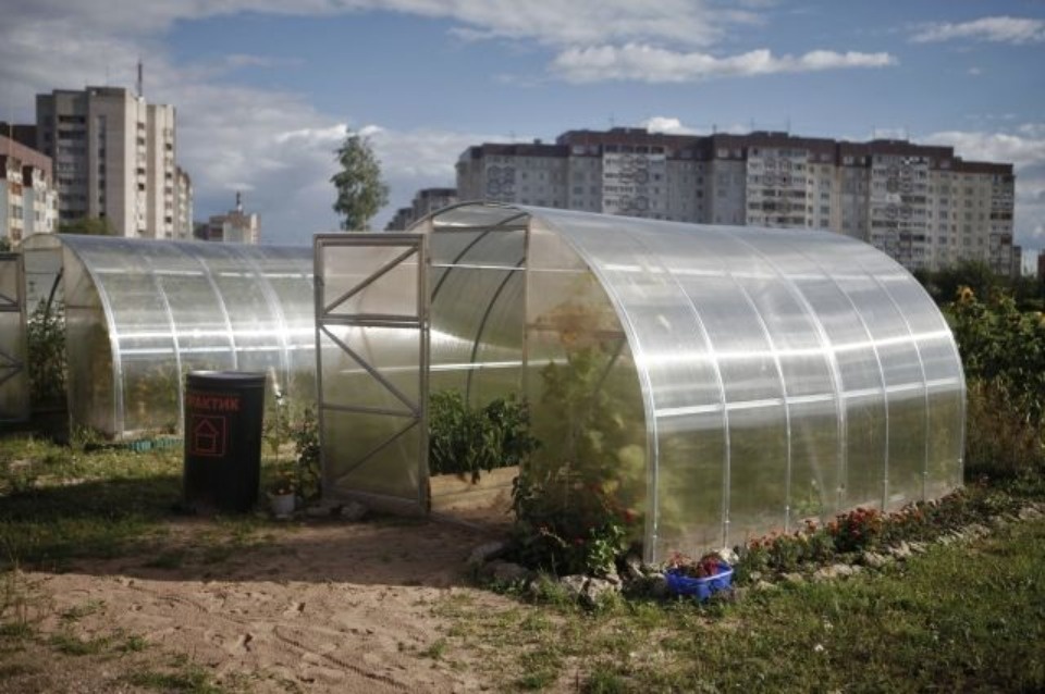 Представители СНТ на улице Линейной в Пскове намерены обратиться в суд