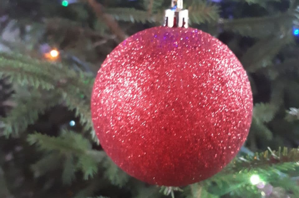 Более тысячи псковичей предпочли выбрать ёлку в лесу Более тысячи псковичей предпочли выбрать ёлку в лесу