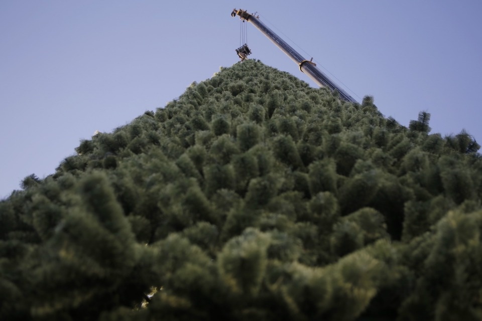 Фотоитоги 2020 года