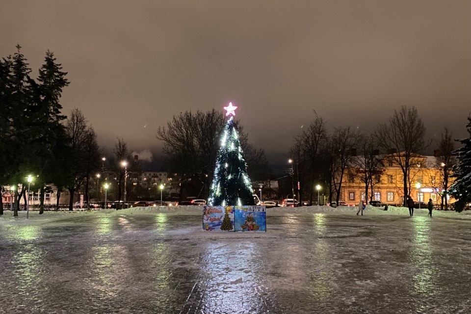 Ледяной дождь и гололед ожидаются в Псковской области 30 декабря