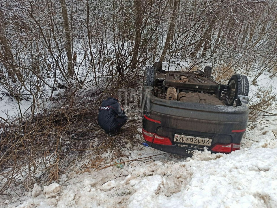 Девушка-водитель пострадала в ДТП в Дновском районе