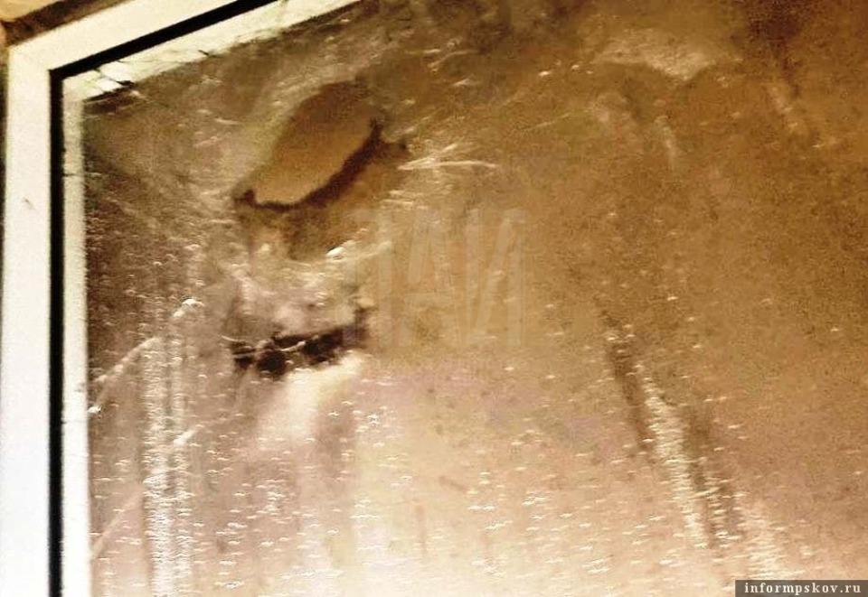 Фейерверк залетел в окно квартиры в Пскове