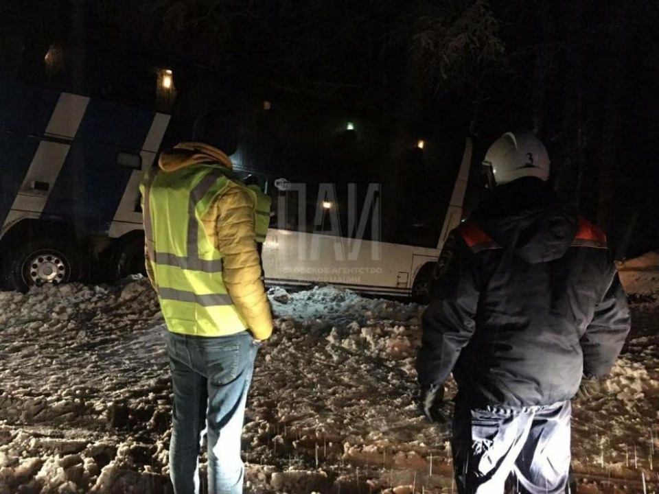 Следовавший из Санкт-Петербурга в Бежаницы автобус съехал в кювет Следовавший из Санкт-Петербурга в Бежаницы автобус съехал в кювет