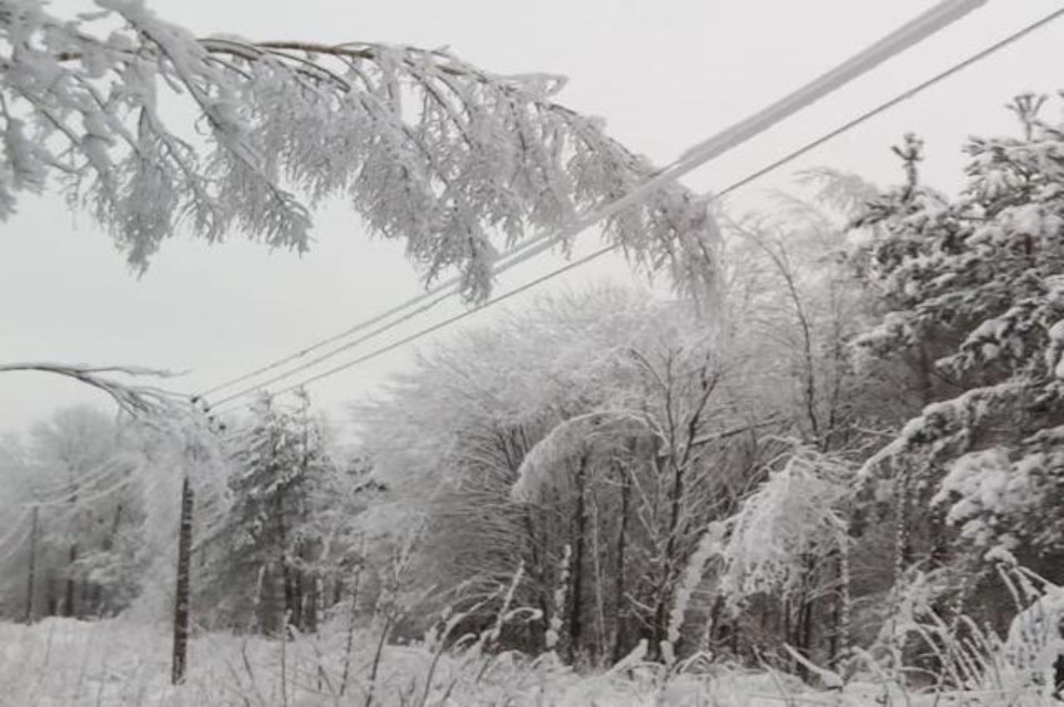 Губернатор Псковской области доложил президенту о восстановлении электроснабжения после ледяного дождя