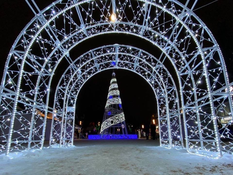 В середине января в Псковскую область придут сильные морозы