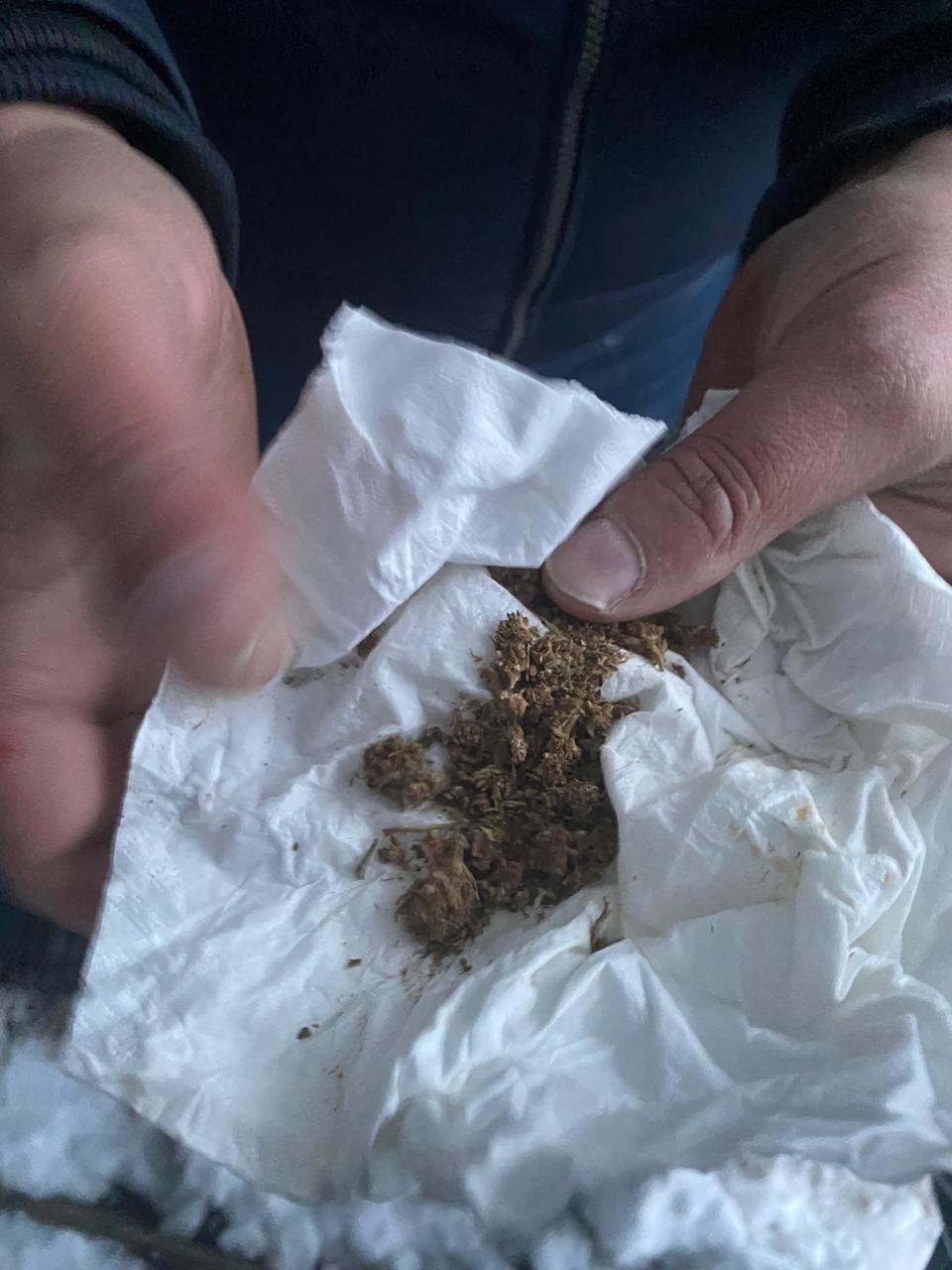 Лабрадор пресек ввоз наркотиков на российско-эстонской границе в Псковской области