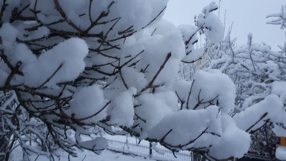 В Крещенскую ночь в Пскове похолодает до -13, по области  - до -17