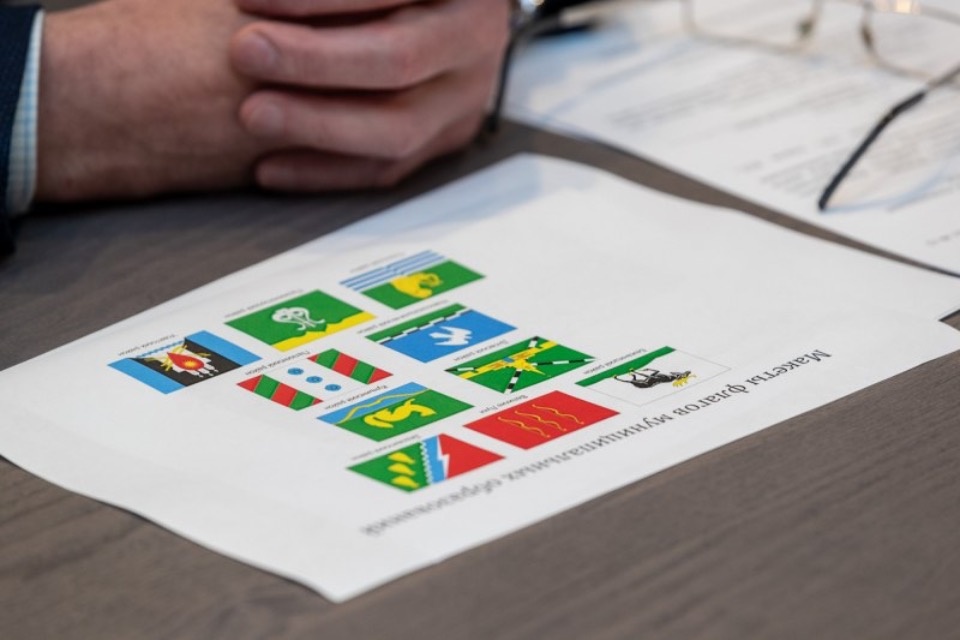 Макеты официальных символов 11 муниципалитетов Псковской области утвердил Геральдический совет