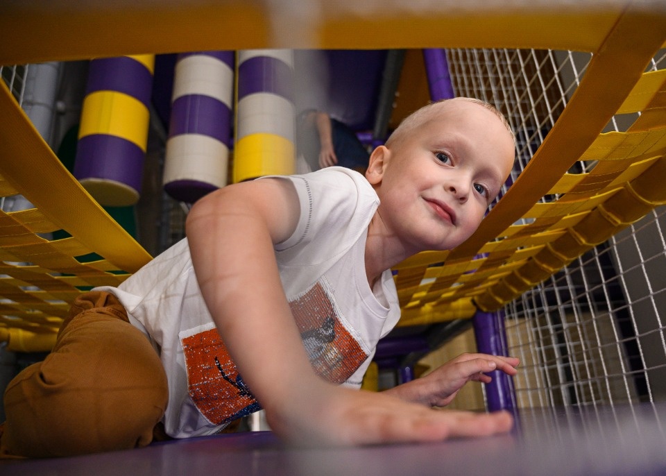 Лабиринт, слон и авокадо