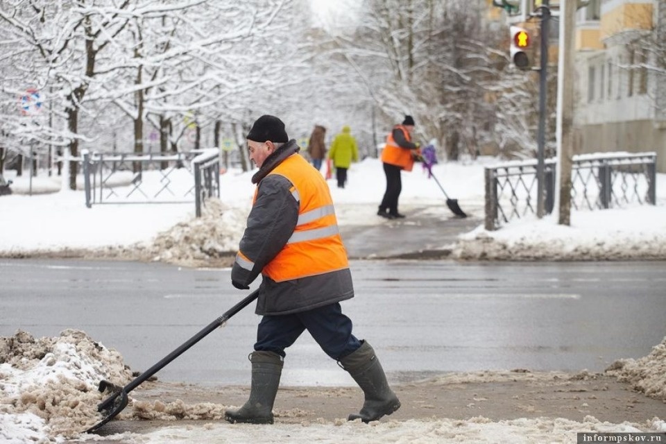 Администрация Пскова недовольна уборкой парков и скверов города