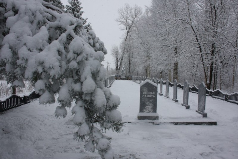 Ведерников поздравил жителей двух районов с годовщиной освобождения от немецких захватчиков