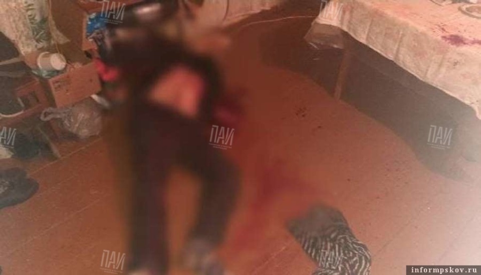 Житель Опочецкого района из ревности застрелил собутыльника: ПАИ опубликовало фото