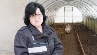 Лебединая история