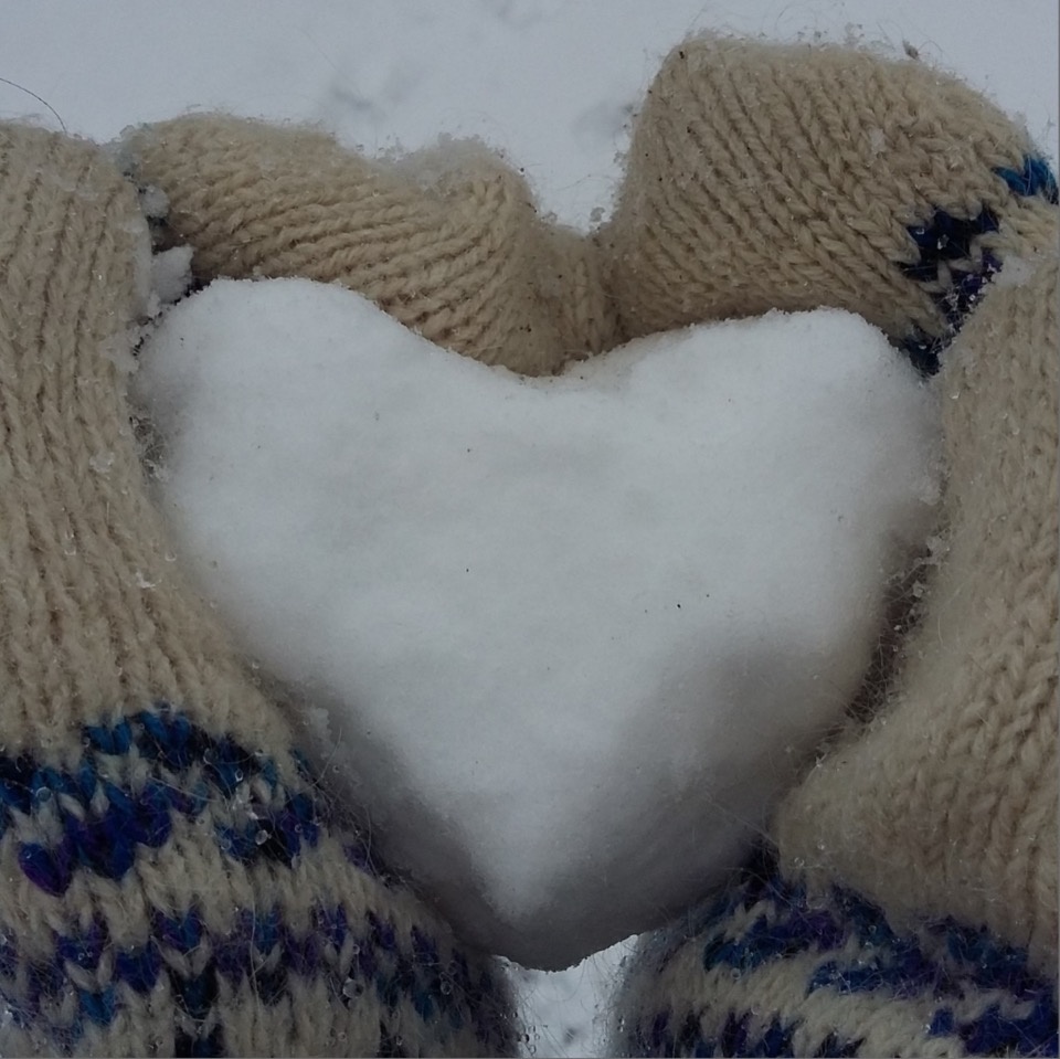 15% февральской нормы осадков выпало в Пскове за сутки