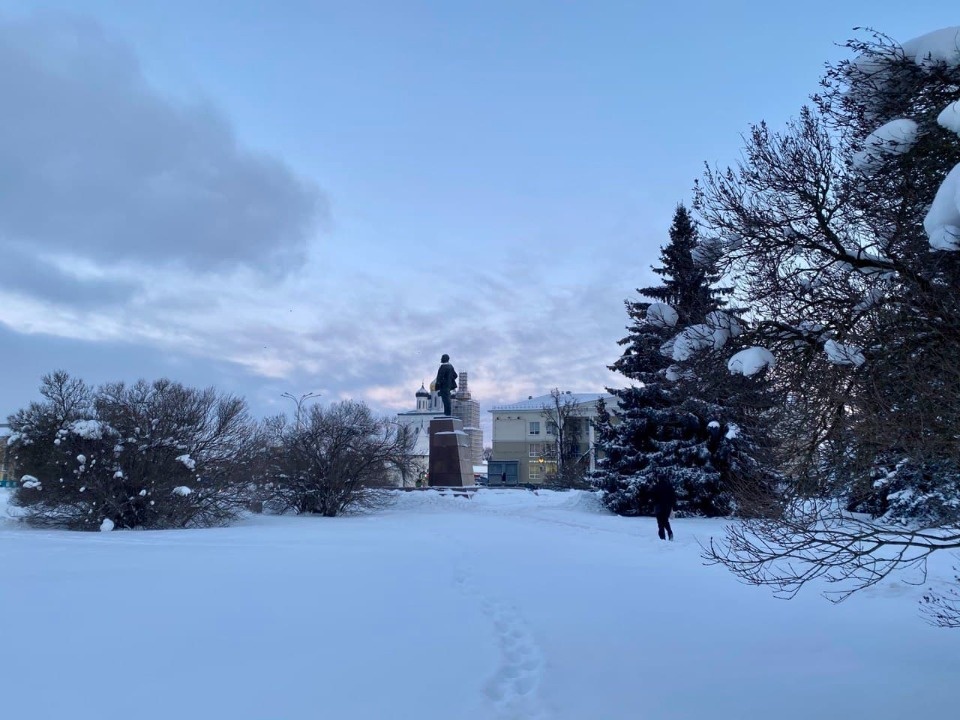 До 25 градусов мороза ожидается в Псковской области на следующей неделе