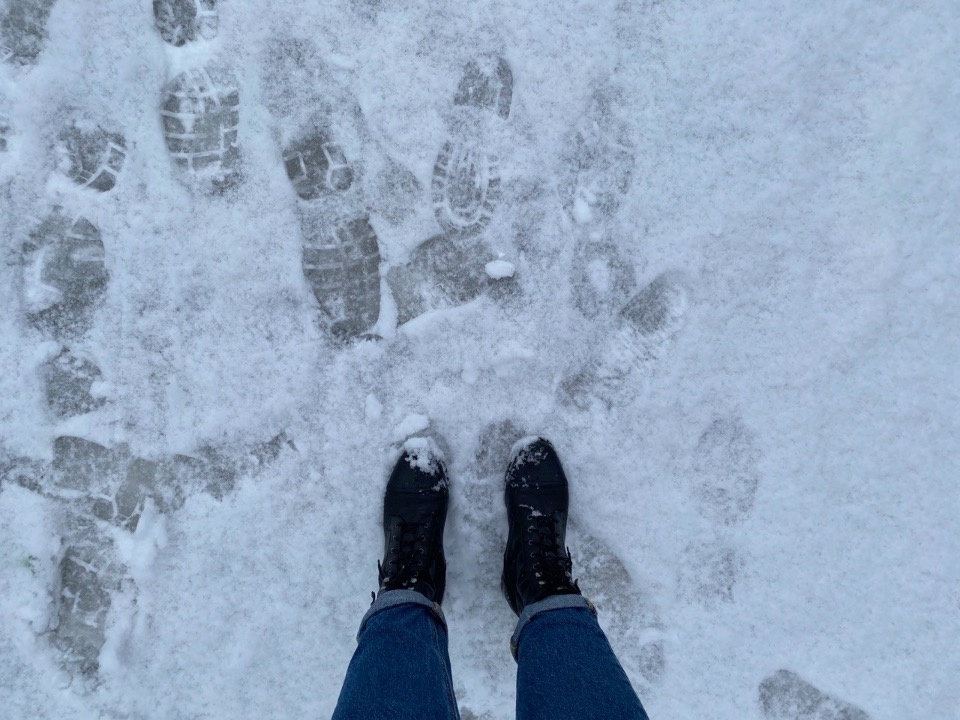Госавтоинспекция предупреждает псковичей о гололеде и гололедице на дорогах 