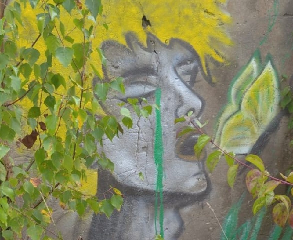 Заброшенные здания в Пыталово планируется «оживить» с помощью стрит-арта