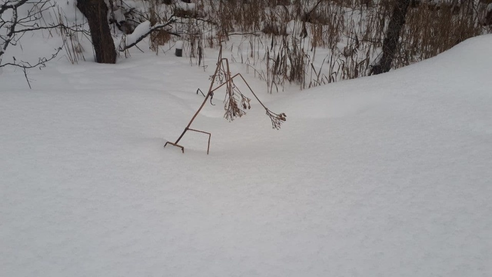Снегопад надвигается на Псковскую область Снегопад надвигается на Псковскую область