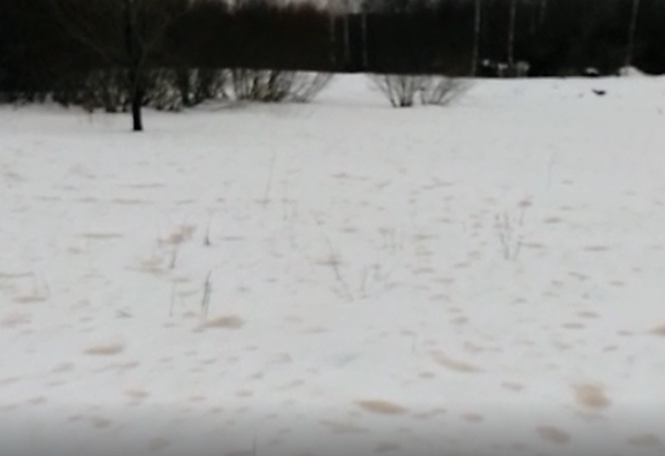 Пески Сахары добрались до Пскова