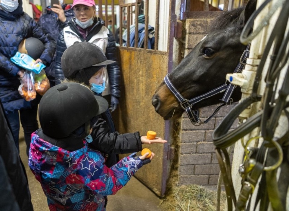 Михаил Ведерников исполнил мечту восьмилетней Ангелины покататься на лошадях