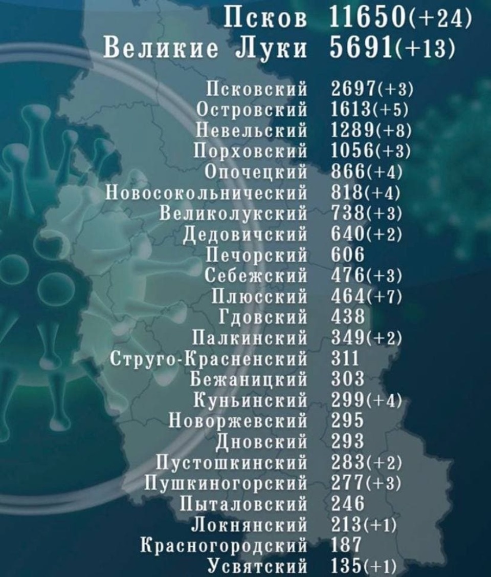 125 выздоровевших от коронавируса добавилось в статистику Псковской области за сутки
