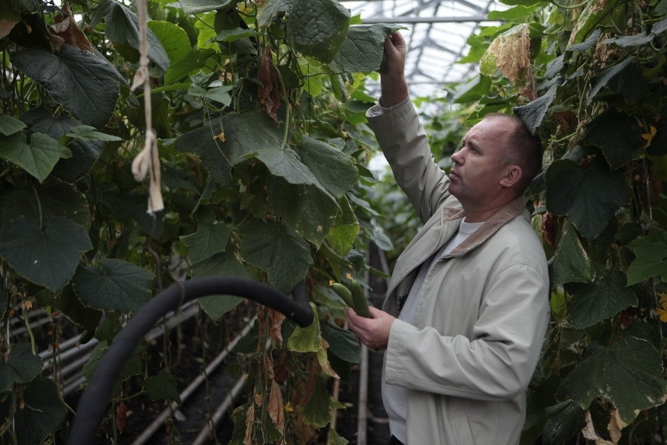 Погода в поле