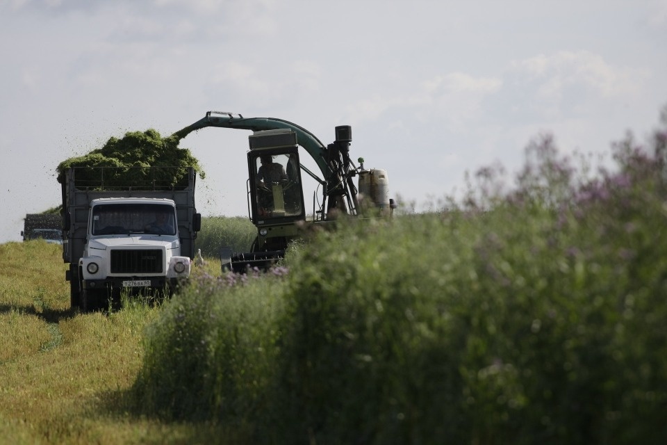 Погода в поле
