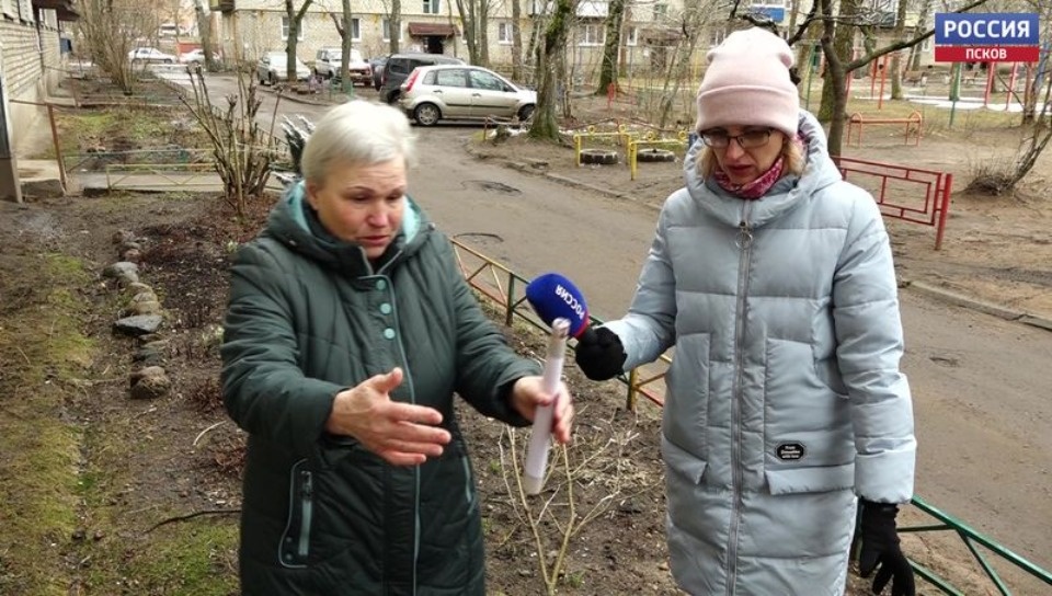 Великолучанка рассказала, как смогла спасти выпавшего в окно ребёнка