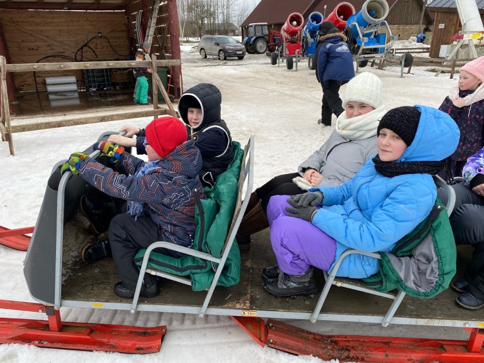 Студентка, медик и любитель котиков Студентка, медик и любитель котиков