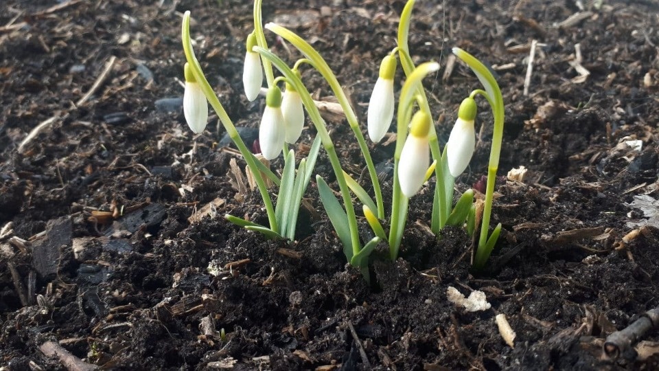 До 19 градусов тепла обещают жителям Псковской области в апреле