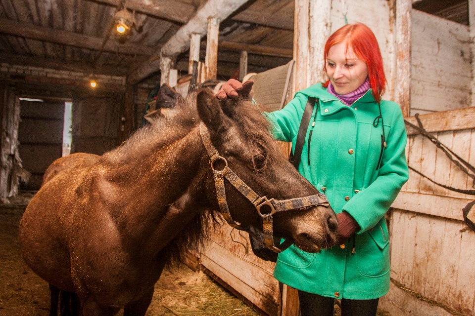 Псковское агентство информации рассказало, кому подходит лечение лошадьми