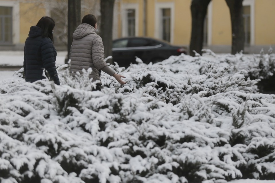 Последний снег?