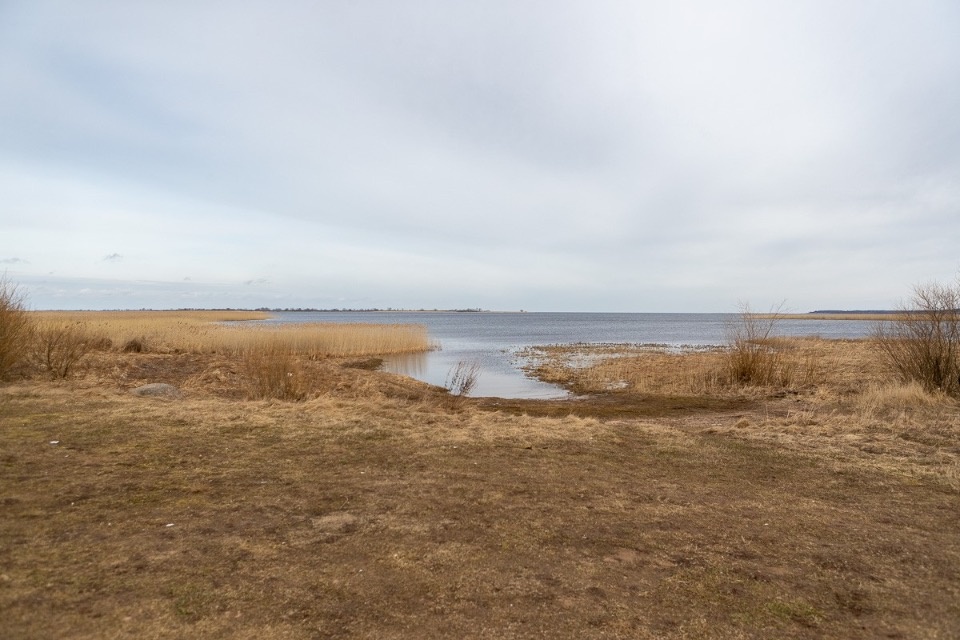 В Гдовском районе утвержден участок для возведения мемориального комплекса в честь Александра Невского