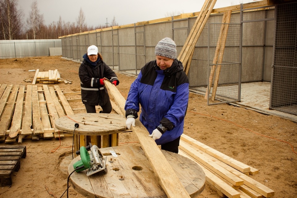 Крыша для друзей