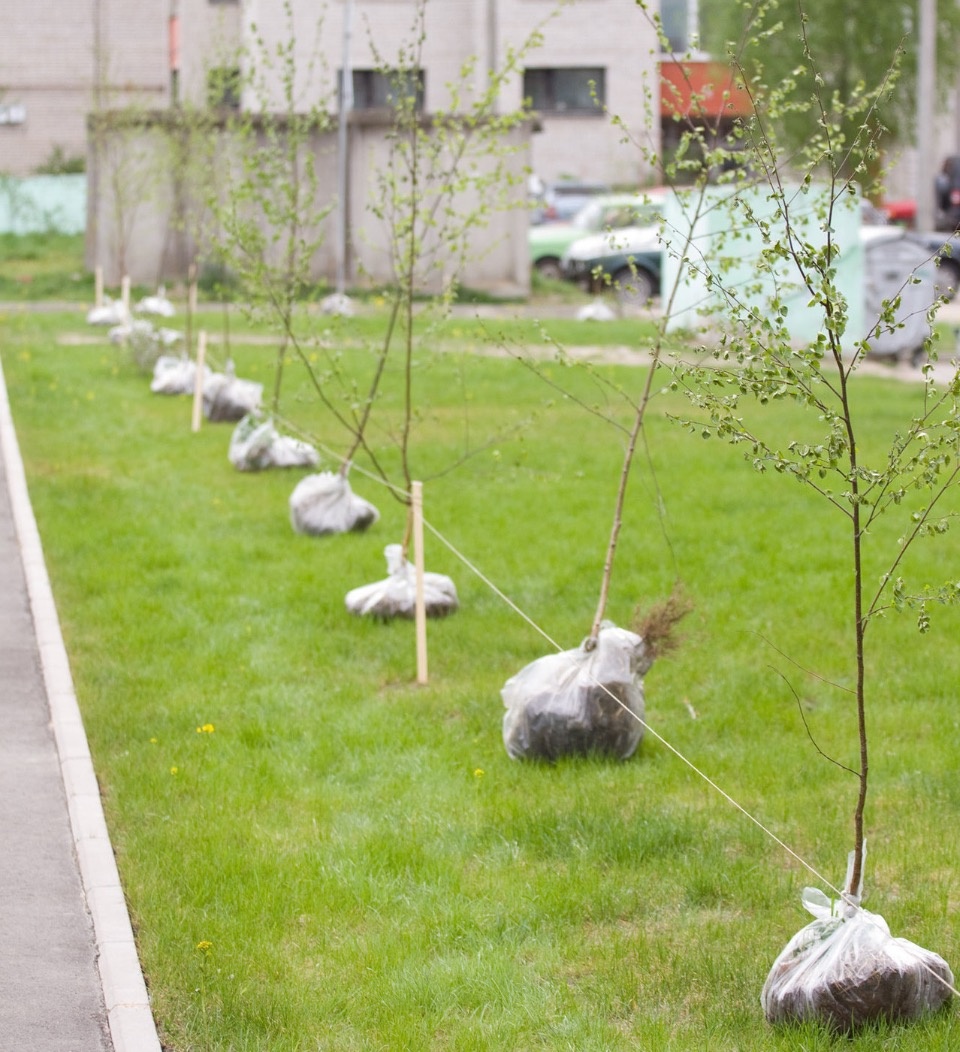 Михаил Ведерников предложил реализовать проект «Зелёная область» 