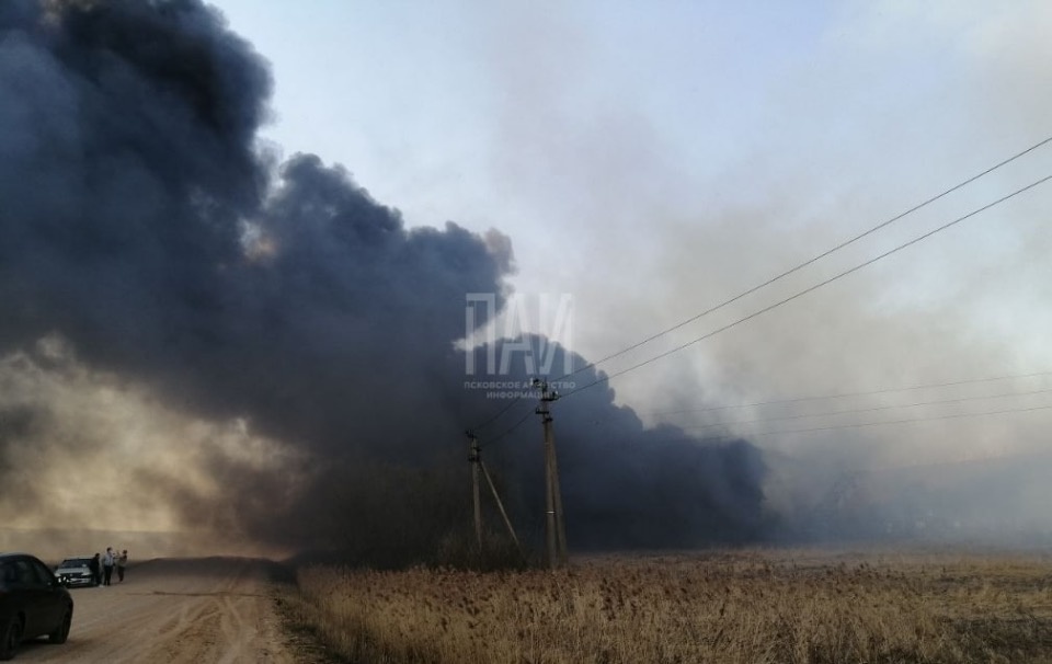 Здание бывшей «Сельхозхимии» в Новосокольническом районе загорелось из-за пала травы