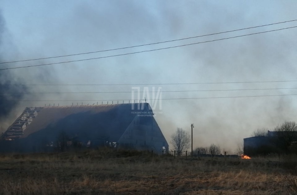Здание бывшей «Сельхозхимии» в Новосокольническом районе загорелось из-за пала травы