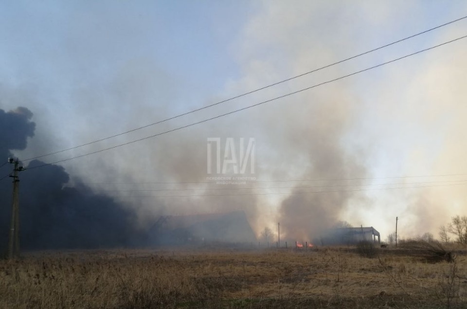 Здание бывшей «Сельхозхимии» в Новосокольническом районе загорелось из-за пала травы