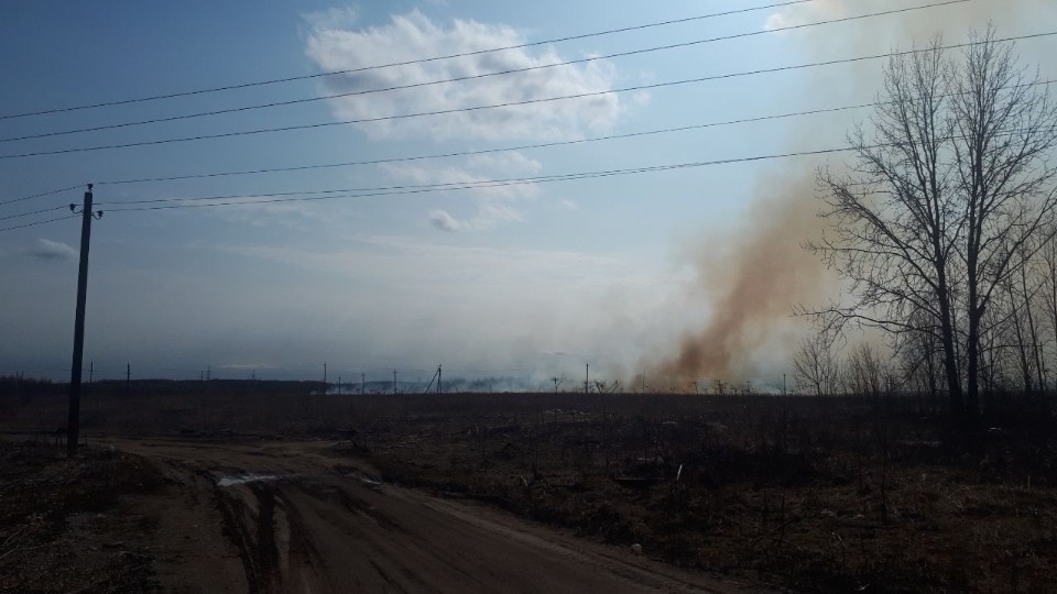 Высокая пожароопасность ожидается в Псковской области с 20 апреля 