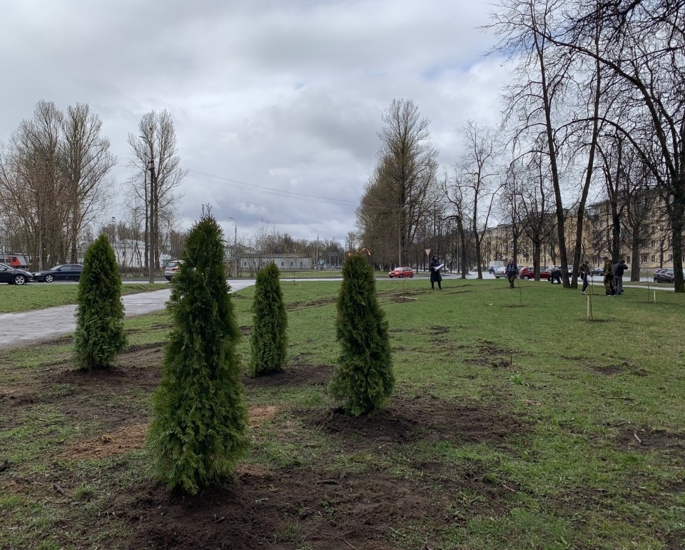 «Титан-Полимер» присоединился к Всероссийскому субботнику в Пскове