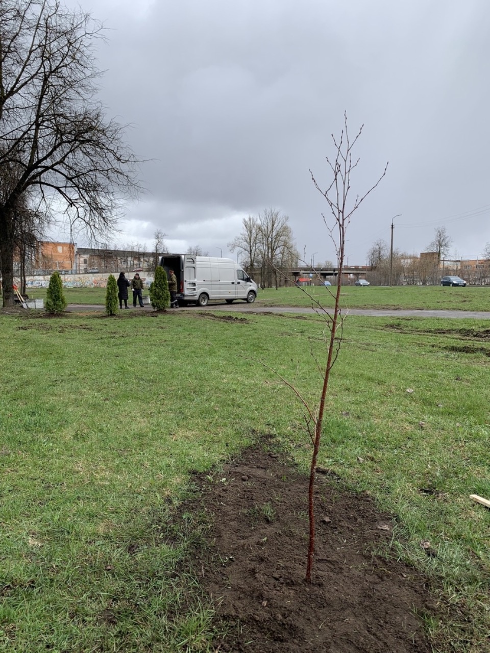 «Титан-Полимер» присоединился к Всероссийскому субботнику в Пскове