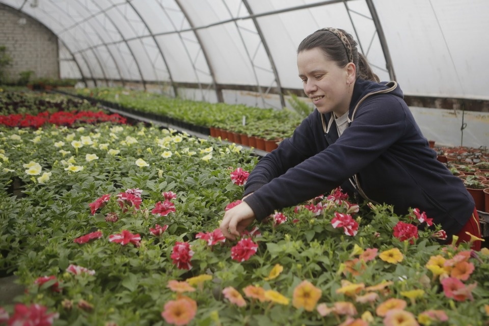 Пошли в рост