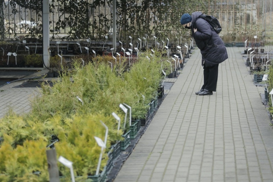 Пошли в рост