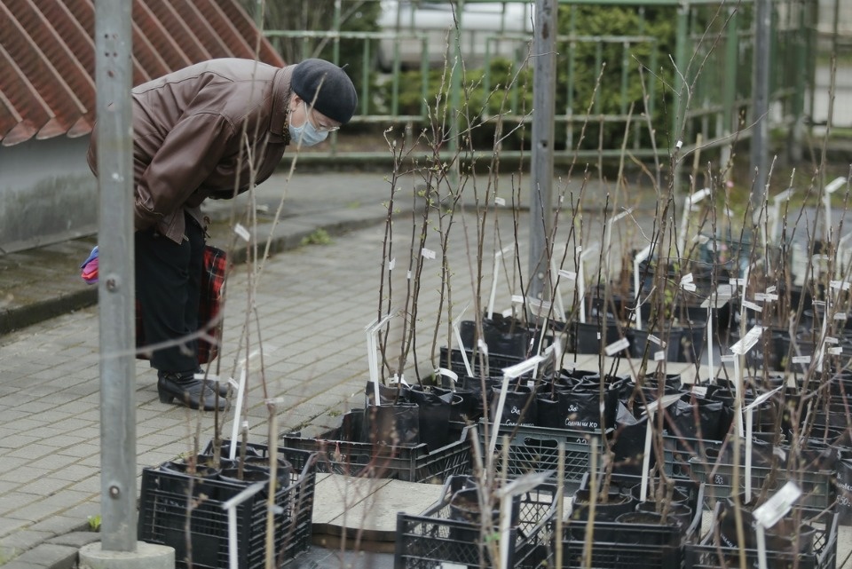 Пошли в рост