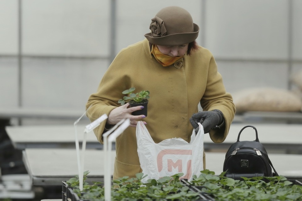 Пошли в рост